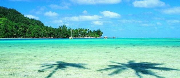 超簡単・最速・低価格なホームページ作成